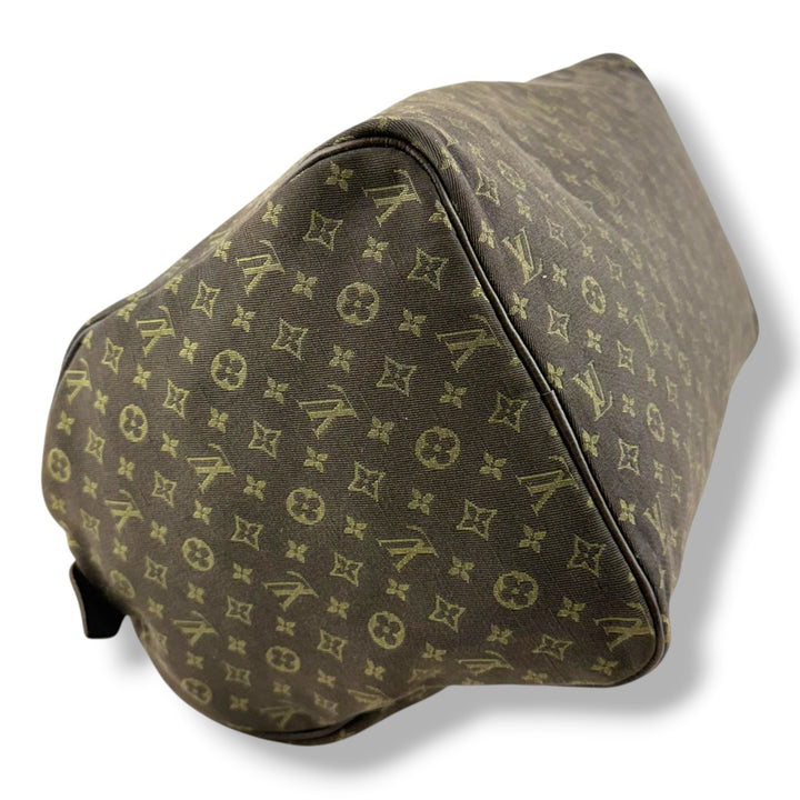 Louis Vuitton Monogram Mini Idylle Romance Speedy 30 Handbag
