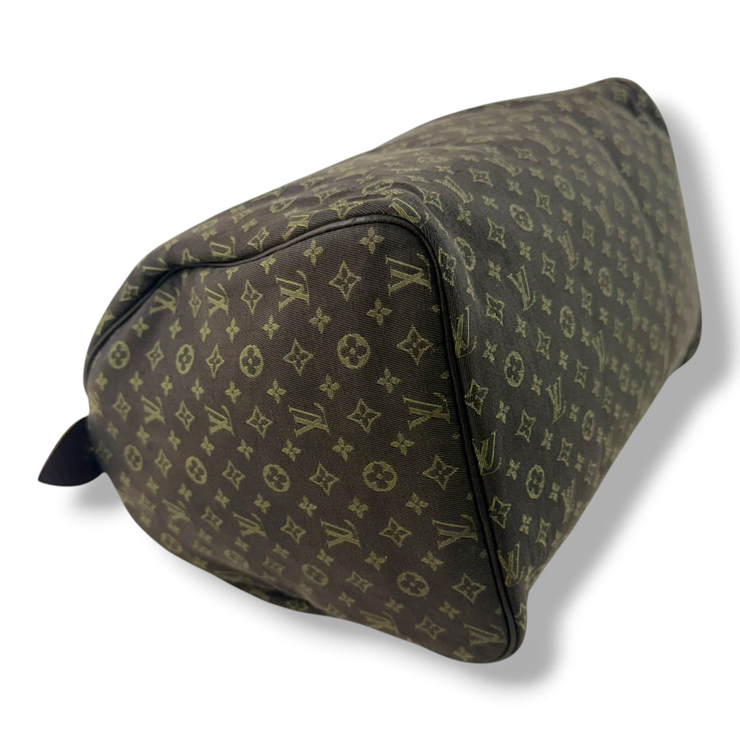 Louis Vuitton Monogram Mini Idylle Romance Speedy 30 Handbag