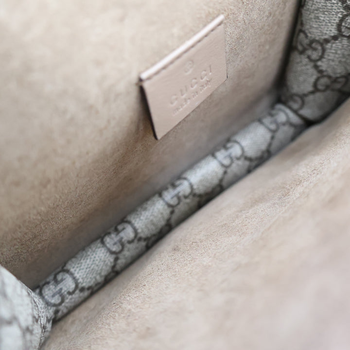 Gucci GG Dionysus Beige Mini Handbag