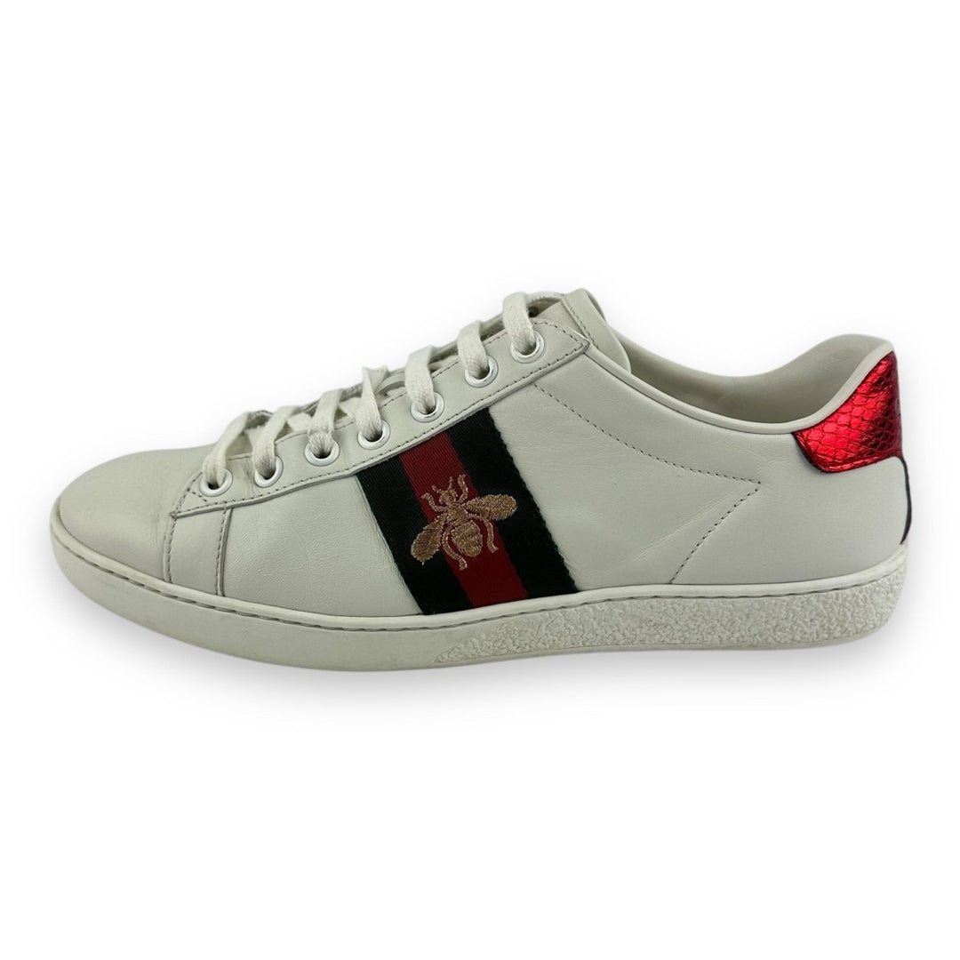 Gucci Ace Sneaker Gucci Scarpe 36 Ace Sneakers Gucci Trainers Size
