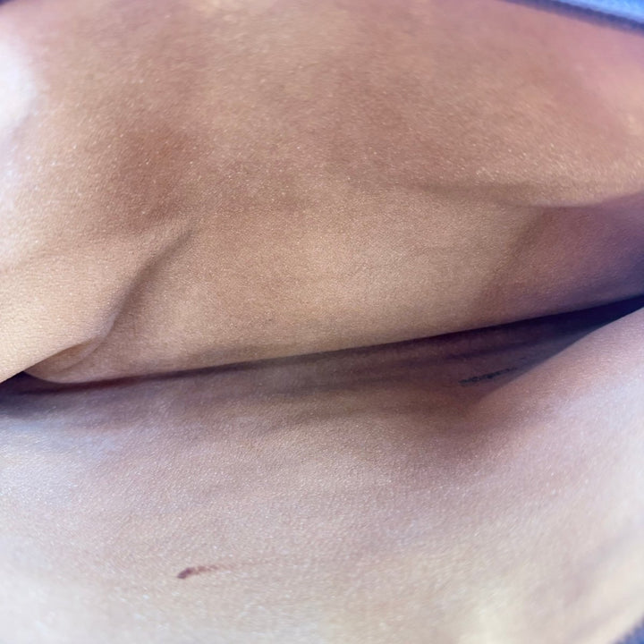 Gucci GG Canvas Web Sherry Line Shoulder Bag - Lux Central