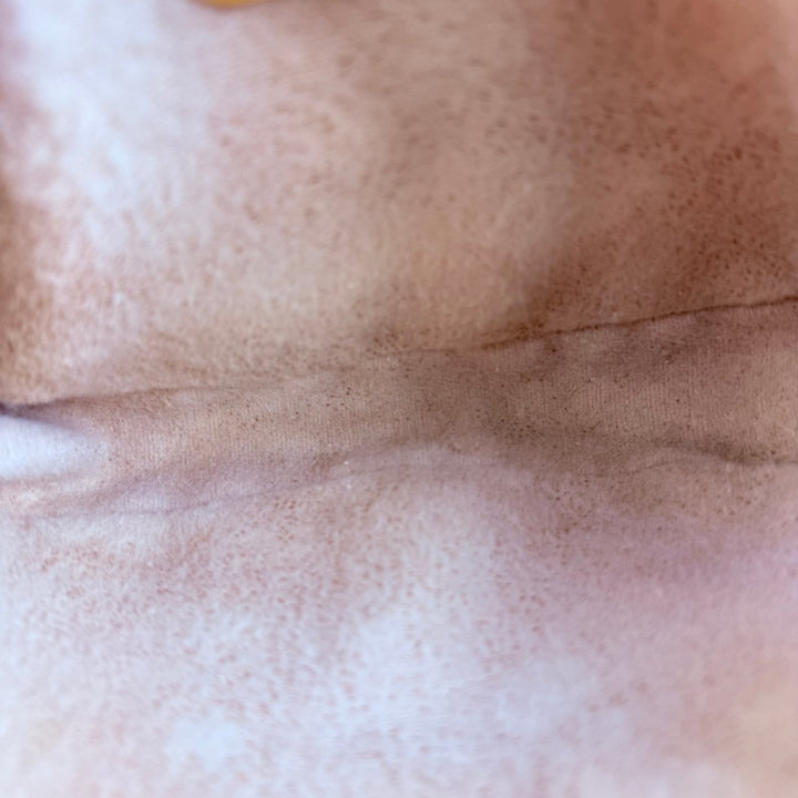 Gucci GG Plus Canvas Beige Shoulder Crossbody Bag - Lux Central