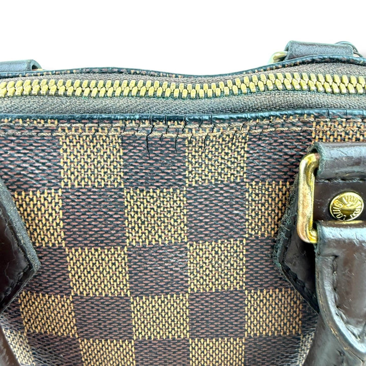 Louis Vuitton Brown Damier Ebene Alma BB Handbag - Lux Central