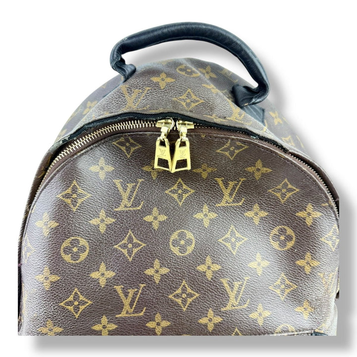 Louis Vuitton Brown Monogram Palm Springs MM Backpack - Lux Central