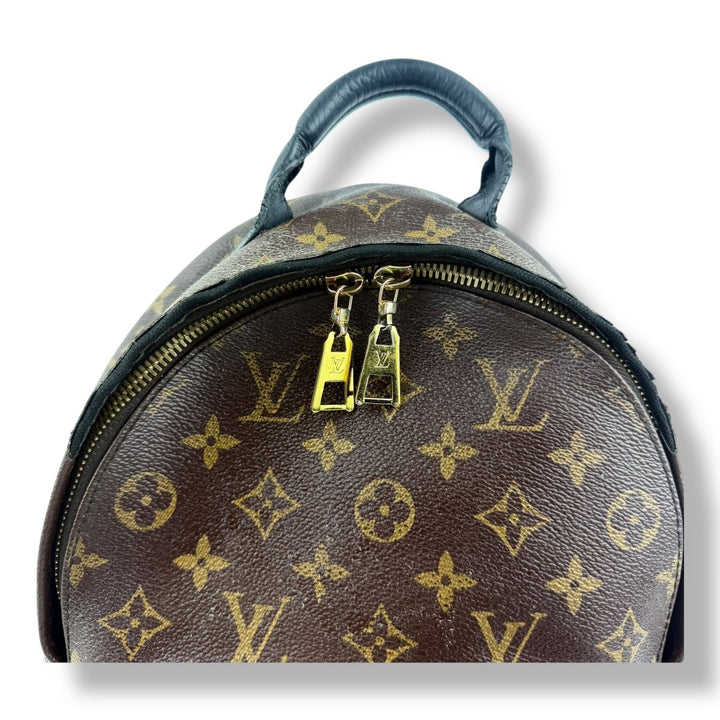 Louis Vuitton Brown Monogram Palm Springs PM Backpack - Lux Central
