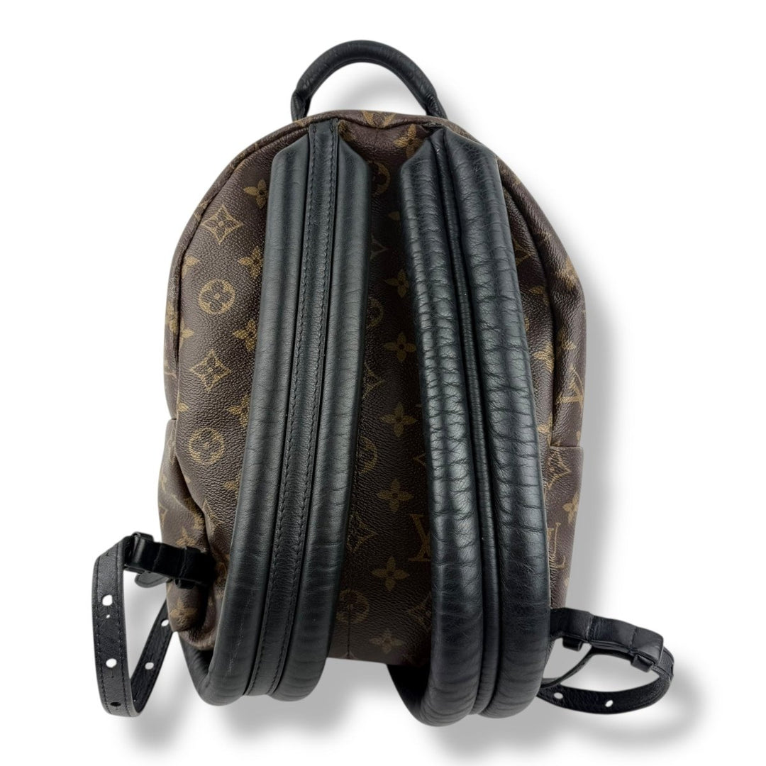 Louis Vuitton Brown Monogram Palm Springs PM Backpack - Lux Central