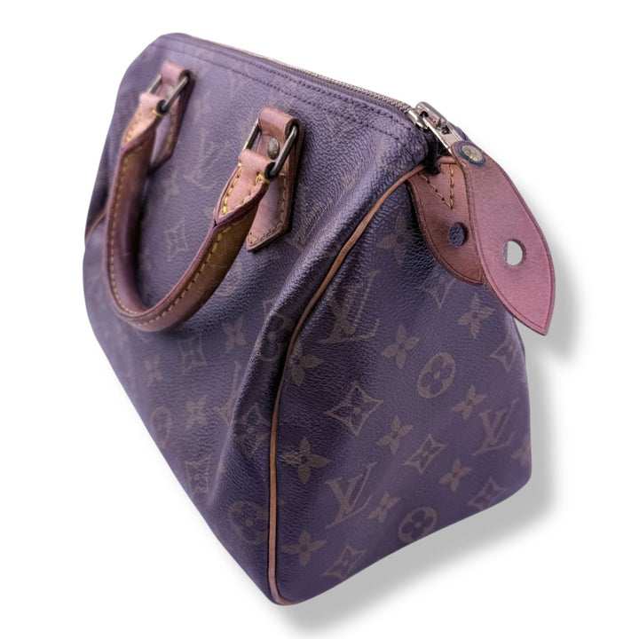 Louis Vuitton Brown Monogram Speedy 25 Handbag - Lux Central