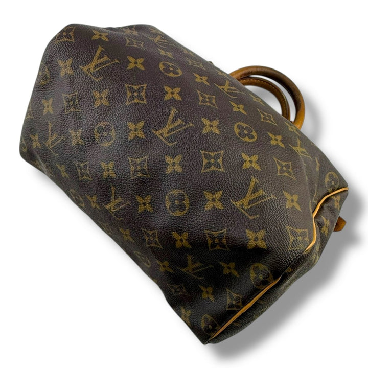 Louis Vuitton Brown Monogram Speedy 25 Handbag - Lux Central