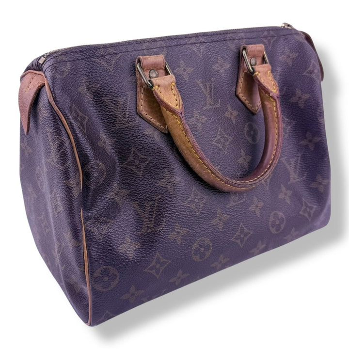 Louis Vuitton Brown Monogram Speedy 25 Handbag - Lux Central