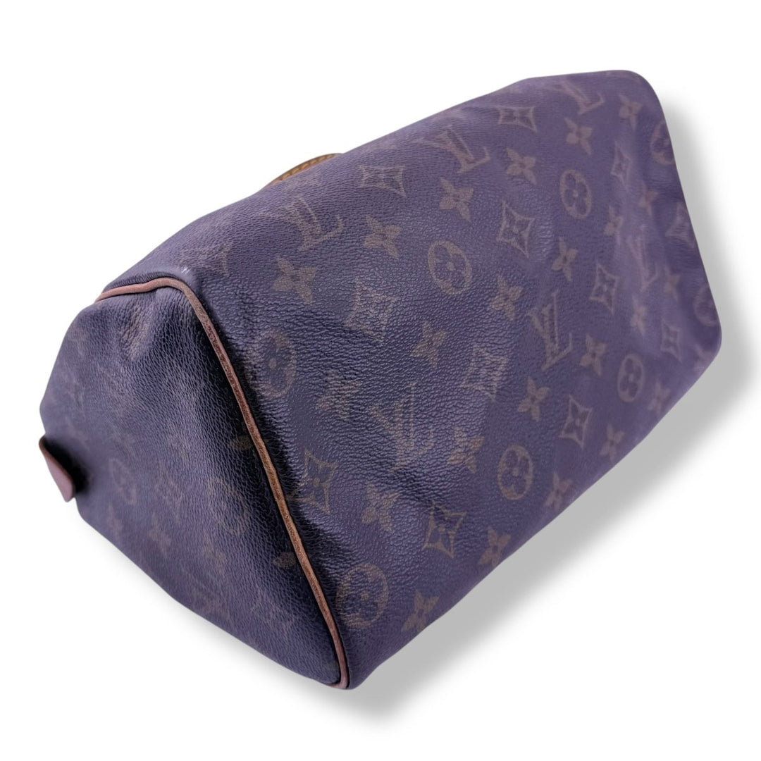 Louis Vuitton Brown Monogram Speedy 25 Handbag - Lux Central