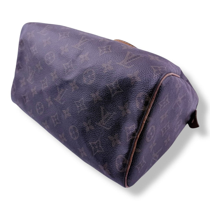 Louis Vuitton Brown Monogram Speedy 25 Handbag - Lux Central