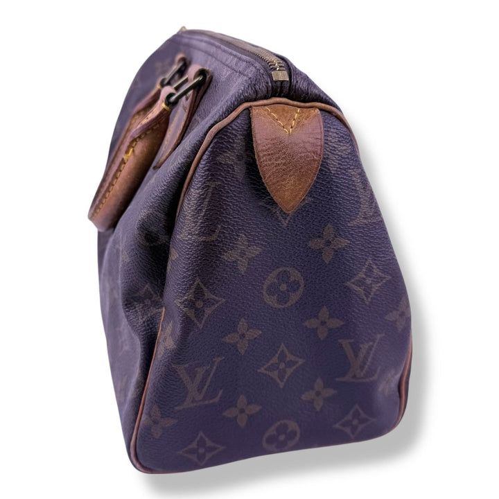 Louis Vuitton Brown Monogram Speedy 25 Handbag - Lux Central