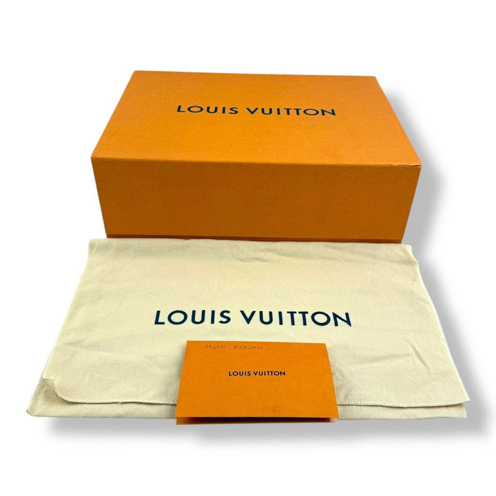 Louis Vuitton Multi Pochette Accessories Brume Monogram Handbag - Lux Central
