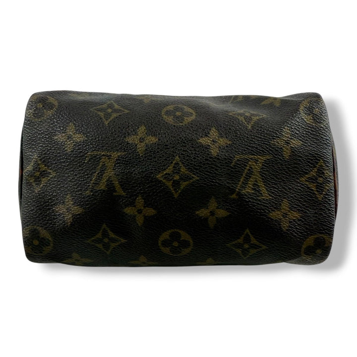 Louis Vuitton Nano Speedy 20 Brown Monogram Handbag - Lux Central