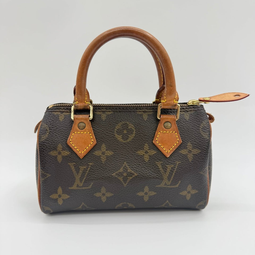Louis Vuitton Nano Speedy Brown Monogram Handbag - Lux Central
