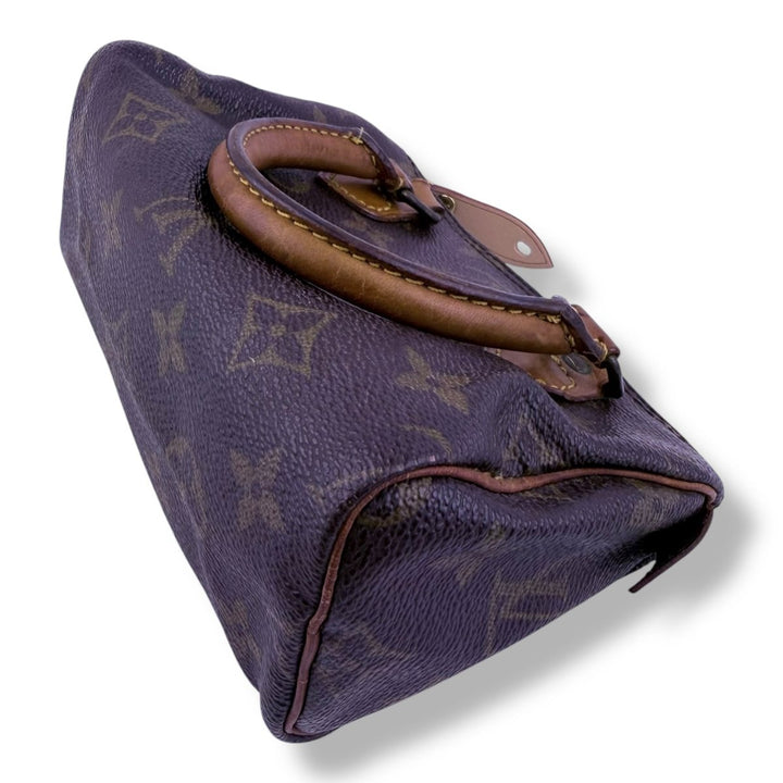Louis Vuitton Nano Speedy Brown Monogram Handbag - Lux Central