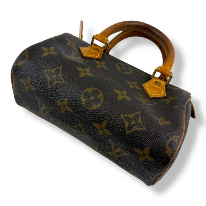 Louis Vuitton Nano Speedy Brown Monogram Handbag - Lux Central