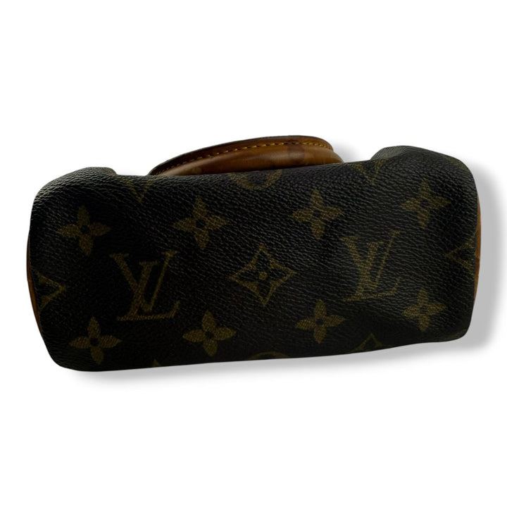 Louis Vuitton Nano Speedy Brown Monogram Handbag - Lux Central