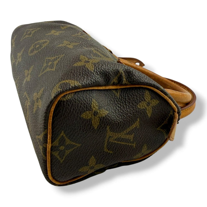 Louis Vuitton Nano Speedy Brown Monogram Handbag - Lux Central