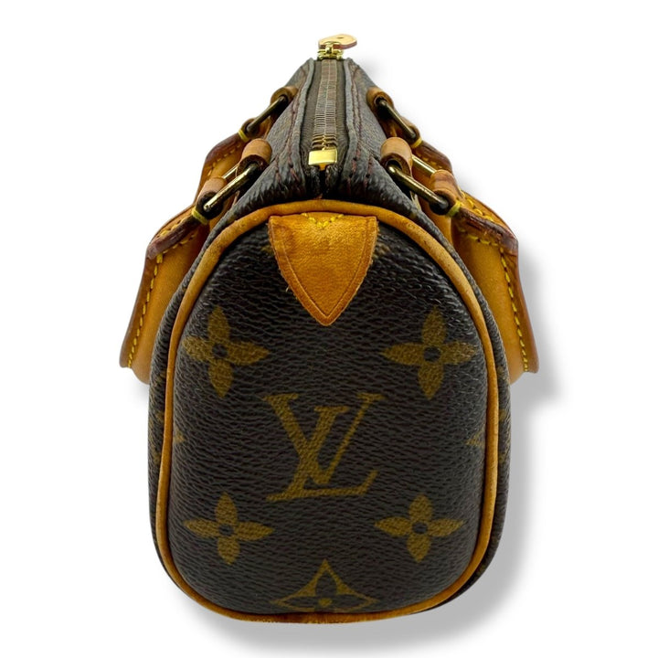 Louis Vuitton Nano Speedy Brown Monogram Handbag - Lux Central
