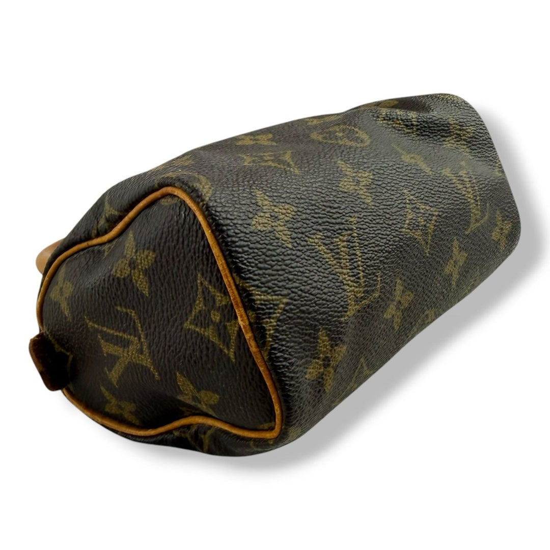 Louis Vuitton Nano Speedy Brown Monogram Handbag - Lux Central