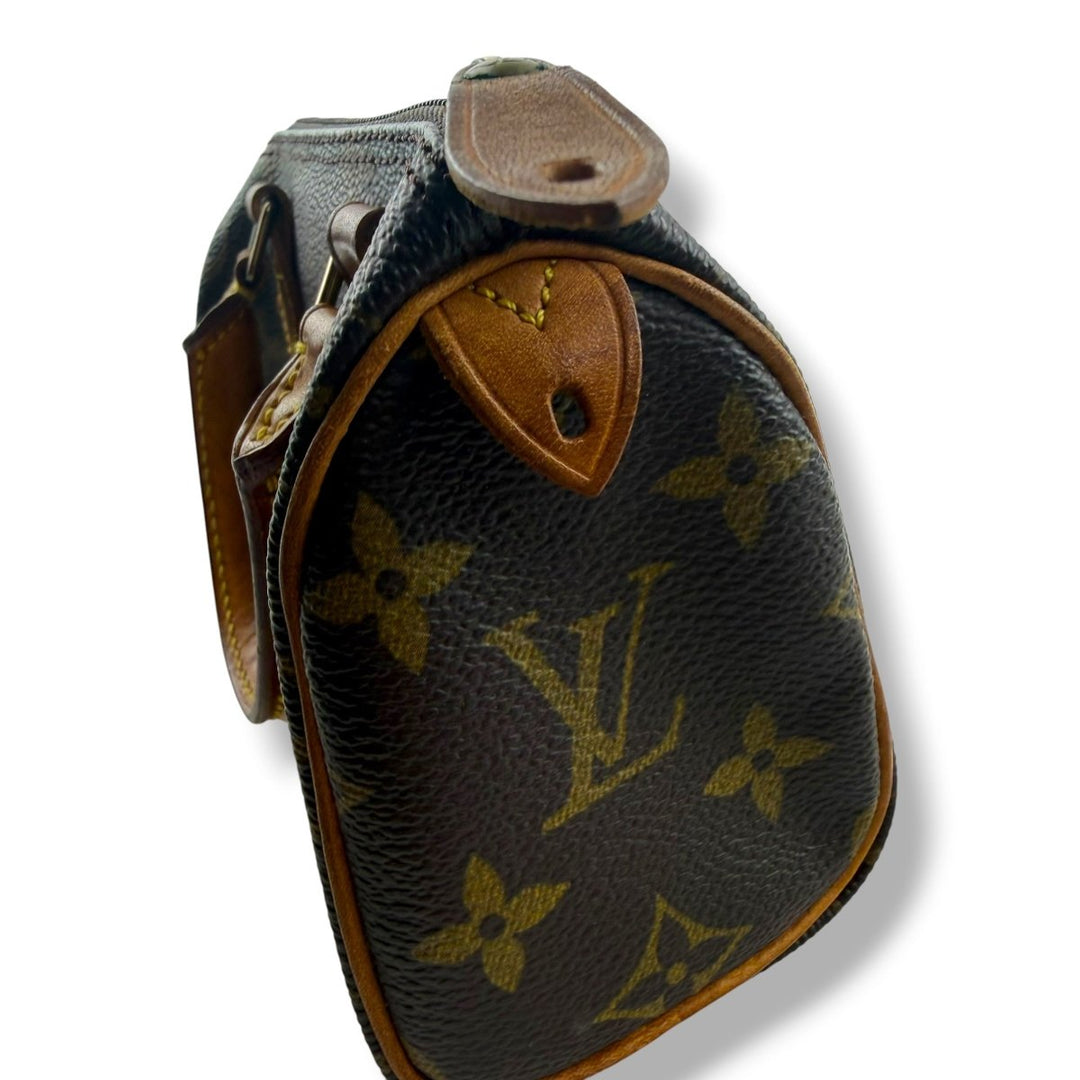 Louis Vuitton Nano Speedy Brown Monogram Handbag - Lux Central