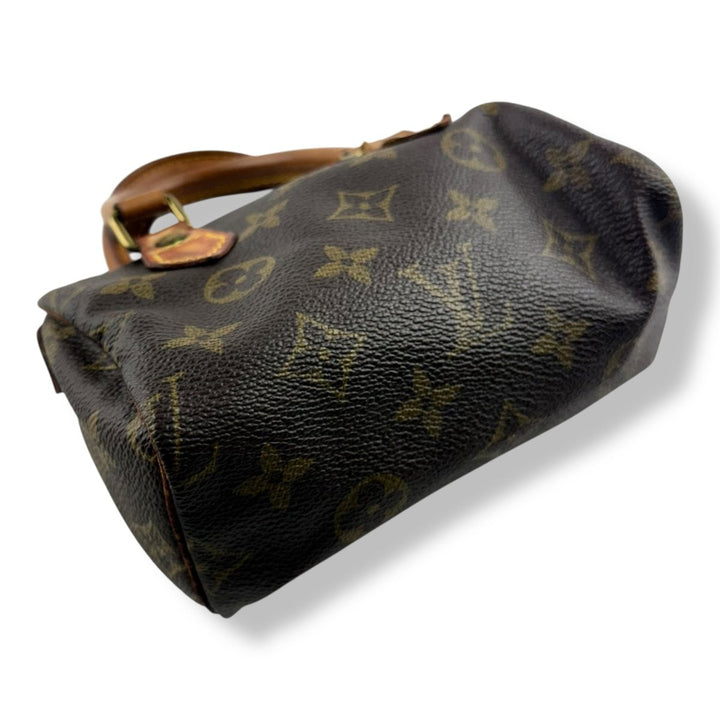 Louis Vuitton Nano Speedy Brown Monogram Handbag - Lux Central