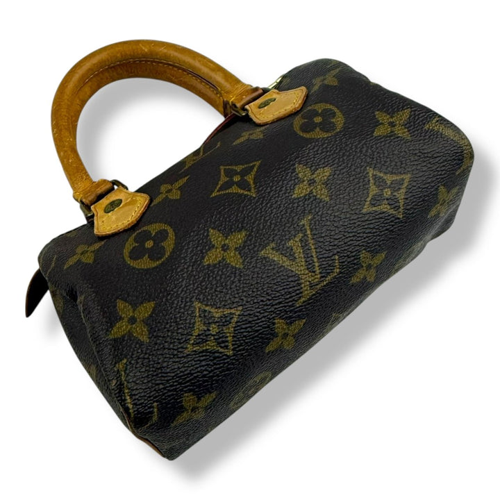 Louis Vuitton Nano Speedy Brown Monogram Handbag - Lux Central