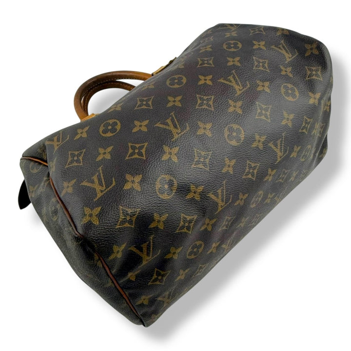 Louis Vuitton Speedy 30 Brown Monogram Handbag - Lux Central