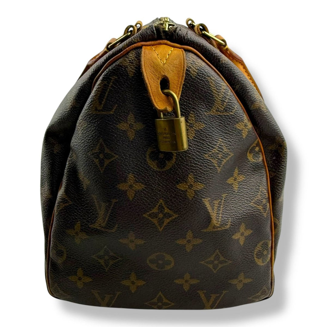 Louis Vuitton Speedy 30 Brown Monogram Handbag - Lux Central