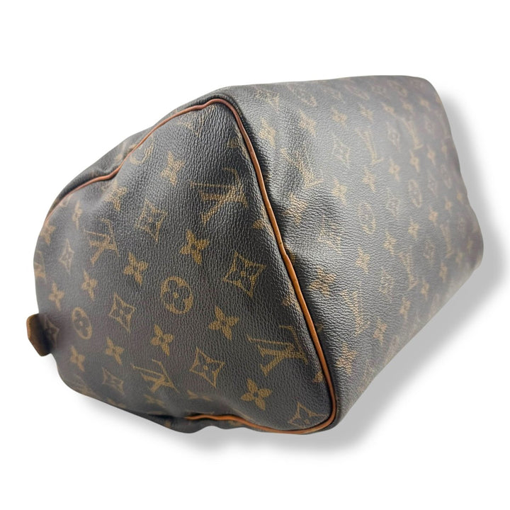 Louis Vuitton Speedy 30 Brown Monogram Handbag - Lux Central
