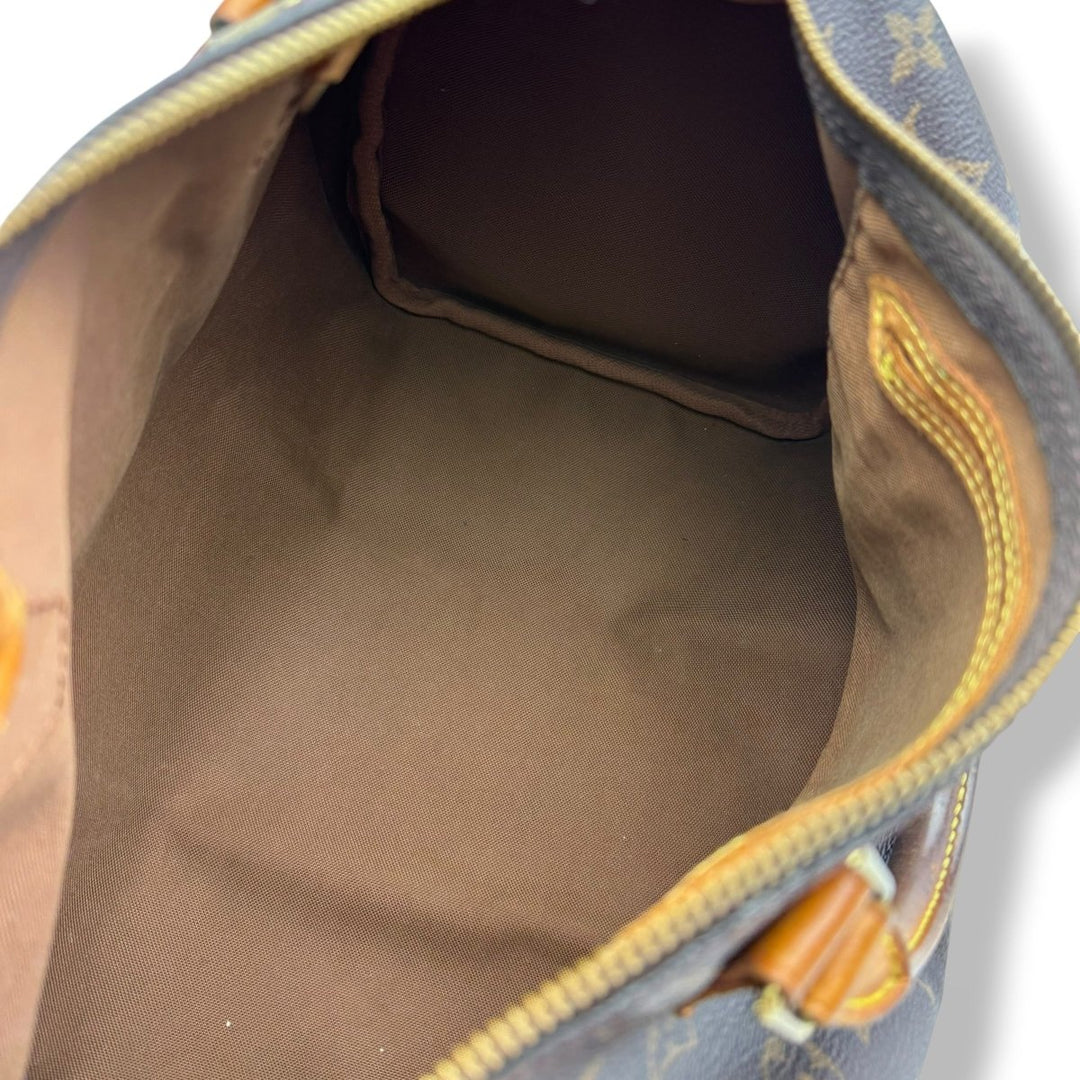 Louis Vuitton Speedy 30 Brown Monogram Handbag - Lux Central